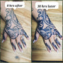Temporary Tattoo Pro Kit – 1oz Jagua Gel