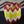 Art# K328 3+ inch. Original Kayapo Traditional Peyote stitch Beaded Bracelet from Brazil