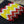 Art# K328 3+ inch. Original Kayapo Traditional Peyote stitch Beaded Bracelet from Brazil