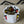 Art# K107  4 inch Original Kayapo Traditional Peyote stitch Beaded Bracelet from Brazil.