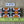Art# K273  3+ inch. Original Kayapo Traditional Peyote stitch Beaded Bracelet from Brazil.