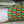 Art# K295  3+ inch. Original Kayapo Traditional Peyote stitch Beaded Bracelet from Brazil.