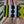 Art# K309  3+ inch. Original Kayapo Traditional Peyote stitch Beaded Bracelet from Brazil.